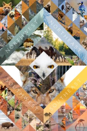 North American Wildlife Collage, Photo Collage Collage Jigsaw Puzzle By Lantern Press