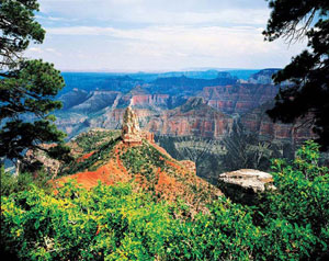Grand Canyon North Rim National Parks Jigsaw Puzzle By MasterPieces