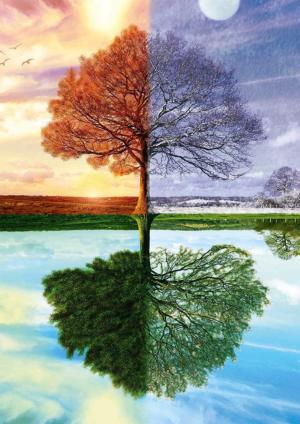 Seasons Landscape Jigsaw Puzzle By Schmidt Spiele