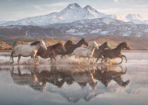 Horses In Cappadocia Horse Jigsaw Puzzle By Schmidt Spiele