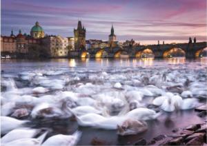 Prague: Swans Lakes & Rivers Jigsaw Puzzle By Schmidt Spiele