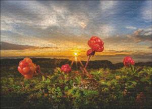 Cloudbeeries Sunrise & Sunset Jigsaw Puzzle By Heye