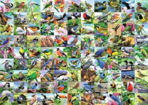 99 Delightful Birds Collage Large Piece By Ravensburger