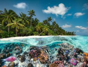 A Dive in the Maldives Beach & Ocean Jigsaw Puzzle By Ravensburger