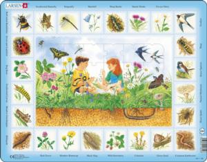 Nature Puzzle: Field Educational Children's Puzzles By Larsen Puzzles