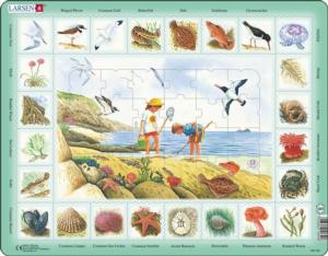 Seaside Puzzle Beach & Ocean Children's Puzzles By Larsen Puzzles