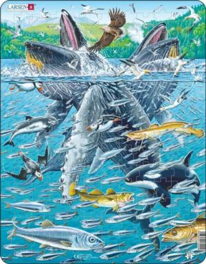 Humpback Whales in a School of Herrings Fish Children's Puzzles By Larsen Puzzles
