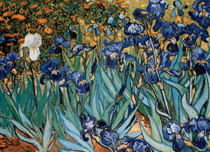 Irises - Van Gogh Van Gogh Irises Jigsaw Puzzle By Eurographics