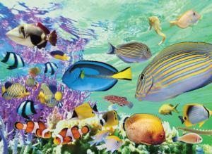 Tropical Marine Fish Jigsaw Puzzle By Tomax Puzzles