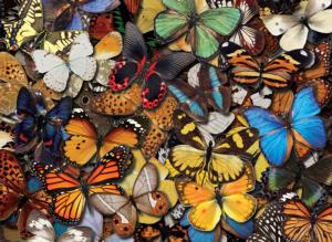Flying Colors Butterflies and Insects Jigsaw Puzzle By Tomax Puzzles
