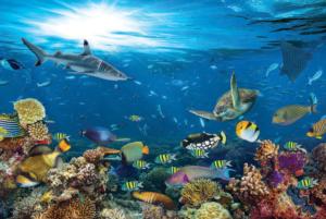 Underwater Paradise Sea Life Large Piece By Tomax Puzzles