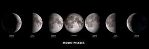 Moon Phases Panorama Educational Panoramic Puzzle By Tomax Puzzles