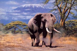 Elephant in Amboseli Elephant Jigsaw Puzzle By Tomax Puzzles