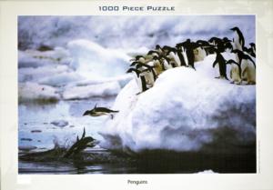 Penguins Photography Jigsaw Puzzle By Tomax Puzzles