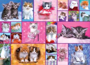 Kittens II Cats Jigsaw Puzzle By RoseArt