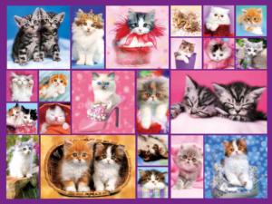 Kittens II Cats Jigsaw Puzzle By RoseArt
