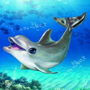 Animal Club Cube Dolphin