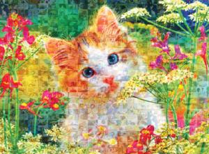 Cute Kitten In The Flowers