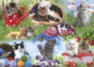 Cats Cats Dementia / Alzheimer's By Gibsons
