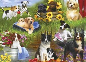 Dogs Flower & Garden Dementia / Alzheimer's By Gibsons