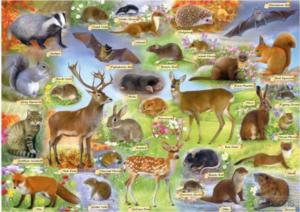 British Wildlife Forest Animal Jigsaw Puzzle By Gibsons