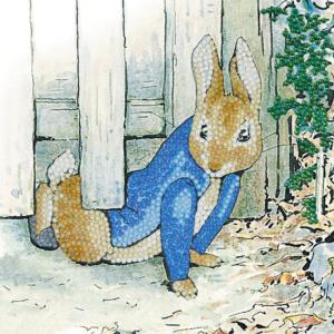 Peter Rabbit Under the Fence Crystal Art Card Kit By Crystal Art