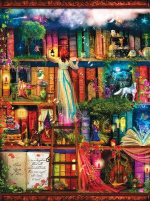 Treasure Hunt Bookshelf Books & Reading Jigsaw Puzzle By SunsOut
