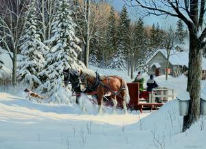 Sugar Shack Horses Snow Jigsaw Puzzle By Cobble Hill
