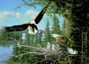 Nesting Eagles Lakes & Rivers Jigsaw Puzzle By Cobble Hill