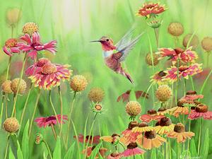 Rufous Hummingbird Flower & Garden Jigsaw Puzzle By Cobble Hill