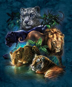 Big Cat Prowess Tigers Jigsaw Puzzle By SunsOut