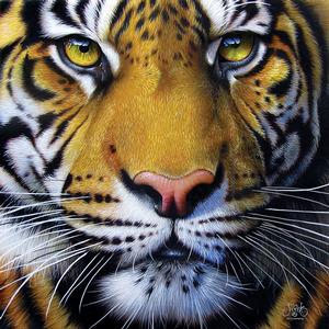 Golden Tiger Face Tigers Jigsaw Puzzle By SunsOut