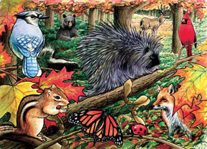 Eastern Woodlands Forest Animal Children's Puzzles By Cobble Hill