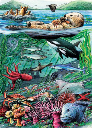 Life on the Pacific Ocean Fish Children's Puzzles By Cobble Hill