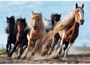 Galloping Horses Horse Jigsaw Puzzle By Trefl
