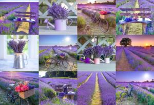 Lavender France Collage Wooden Jigsaw Puzzle By Wooden City