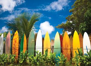 Surfer's Paradise, HI Hawaii Jigsaw Puzzle By Eurographics