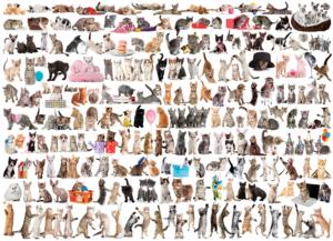 The World of Cats Pattern & Geometric Jigsaw Puzzle By Eurographics