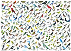 The World of Birds Collage Impossible Puzzle By Eurographics