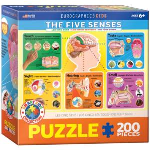 The Five Senses Science Children's Puzzles By Eurographics