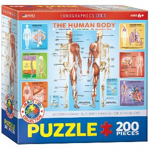 The Human Body Anatomy & Biology Children's Puzzles By Eurographics