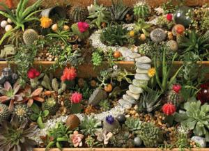 Succulent Garden Flower & Garden Jigsaw Puzzle By Cobble Hill