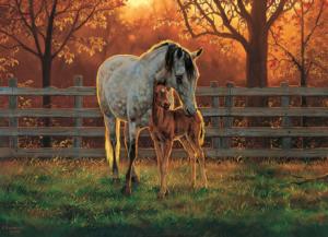 Quiet Time Horse Jigsaw Puzzle By Cobble Hill