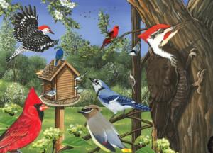 Around The Birdfeeder Father's Day Children's Puzzles By Cobble Hill