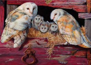 Barn Owls Birds Jigsaw Puzzle By Cobble Hill