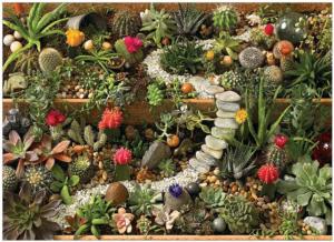 Succulent Garden Flower & Garden Jigsaw Puzzle By Cobble Hill