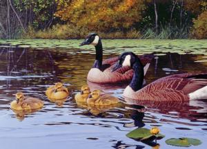 Platts Pond Lakes & Rivers Jigsaw Puzzle By Cobble Hill