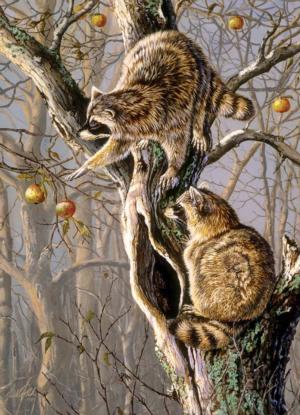Ringtail Raiders Animals Jigsaw Puzzle By Cobble Hill