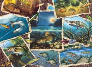 Fish Pics Collage Jigsaw Puzzle By Cobble Hill