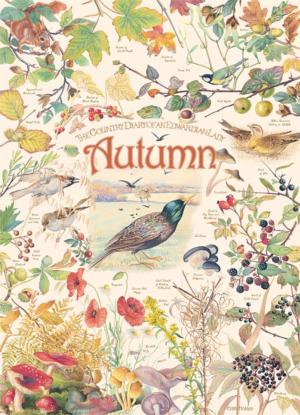 Country Diary: Autumn Nature Jigsaw Puzzle By Cobble Hill